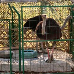 -萌宠亲子动物乐园(槐房万达店)