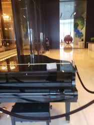 -北京柏悦酒店宴会厅