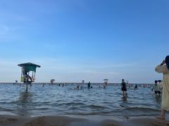 -碧海金沙