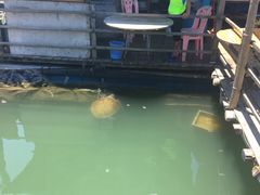 -海上驿站渔家菜馆