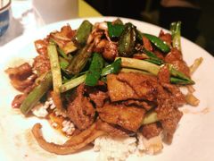-桂满陇天书(南京德基旗舰店)