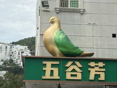 -五谷芳乳鸽王(梅沙老店)