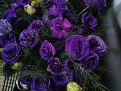 -拾花记花艺·求婚·订婚·生日布置(高新店)