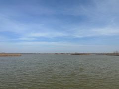 -盐城丹顶鹤湿地生态旅游区