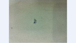 1-威德钻石-克拉钻大本营(南京东路店)