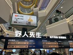 -野人先生Gelato(上海长宁龙之梦店)