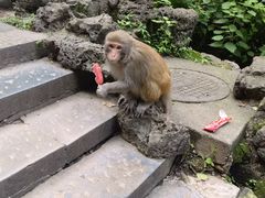 -黔灵山公园