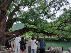 -上坦村