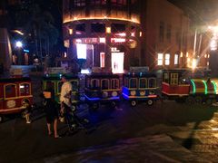 -三亚湾红树林度假世界(木棉酒店)