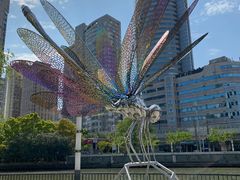 -苏州河梦清园环保主题公园