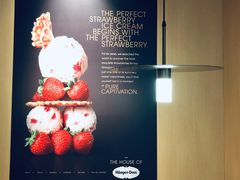 -哈根达斯(龙湖时代天街店)