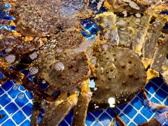 -驻海渔市(置信店)