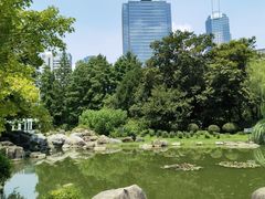 -新虹桥中心花园