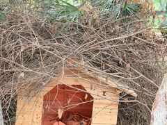 -合肥野生动物园