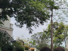 -美的鹭湖森林度假区