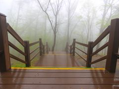 -沂蒙山旅游区云蒙景区(蒙山国家森林公园)