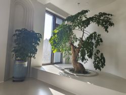 -爱月时月子会所·贝萌店