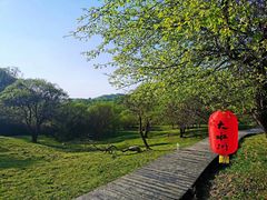 -大水川景区
