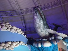 -烟台海昌鲸鲨海洋公园