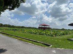 -嘉北郊野公园