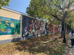 -东华大学(松江校区)