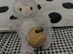 -BLACKSWAN黑天鹅(环球店)