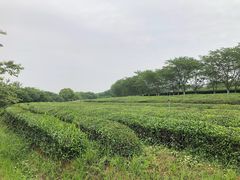 -凤凰沟景区