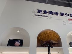 -鲨鱼菲特(金沙湖店)
