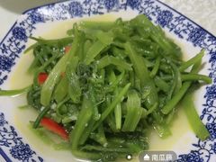 -呼吸森林·生态农庄农家乐私房菜