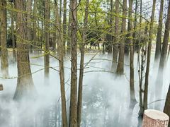 -东湖落雁景区
