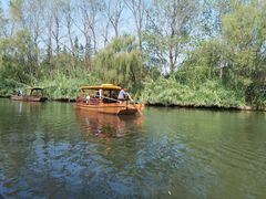 -溱湖国家湿地公园