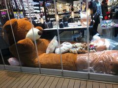 -宝健路步行街(Pedestrian Shopping Street)