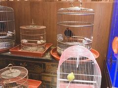 -老江南春·中国龙菜(衡山路店)