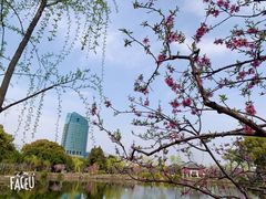 -无锡蠡湖国家湿地公园-蠡园
