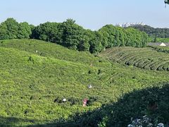 -南山风景名胜区