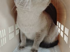 -中农大我爱我爱动物医院·核磁CT·猫病·24小时夜诊中心(石佛营店)