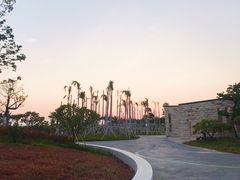 -宝安西湾红树林湿地公园