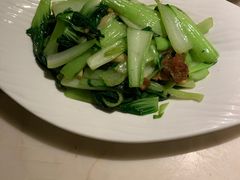 油渣上海青-韵秋荷(宝山龙湖天街店)
