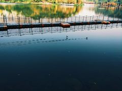 -重庆彩云湖湿地公园
