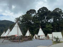 -龙岩森林水乡景区