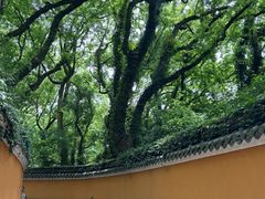 -普陀山风景名胜区-千步大沙