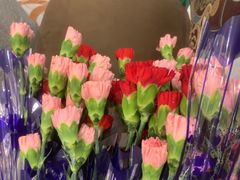 -齐家花园大酒店(宝山店)