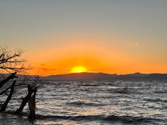 -捞渔河湿地公园