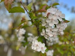 -白塘生态植物园