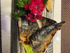 -樱の千渡日式料理·铁板烧•烧鸟(金盛田广场店)