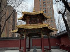 -护国法轮寺