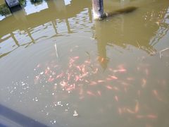 -前关湿地公园