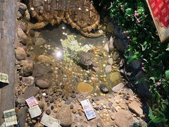 -大明湖海底世界