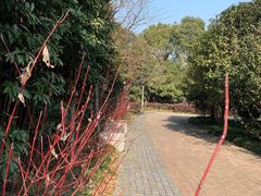 -宝界山林公园