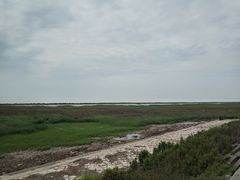 -南汇嘴观海公园